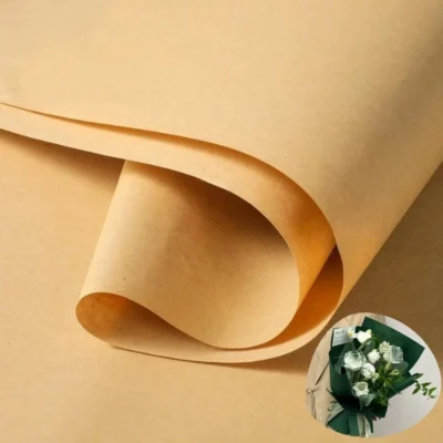 giấy kraft màu